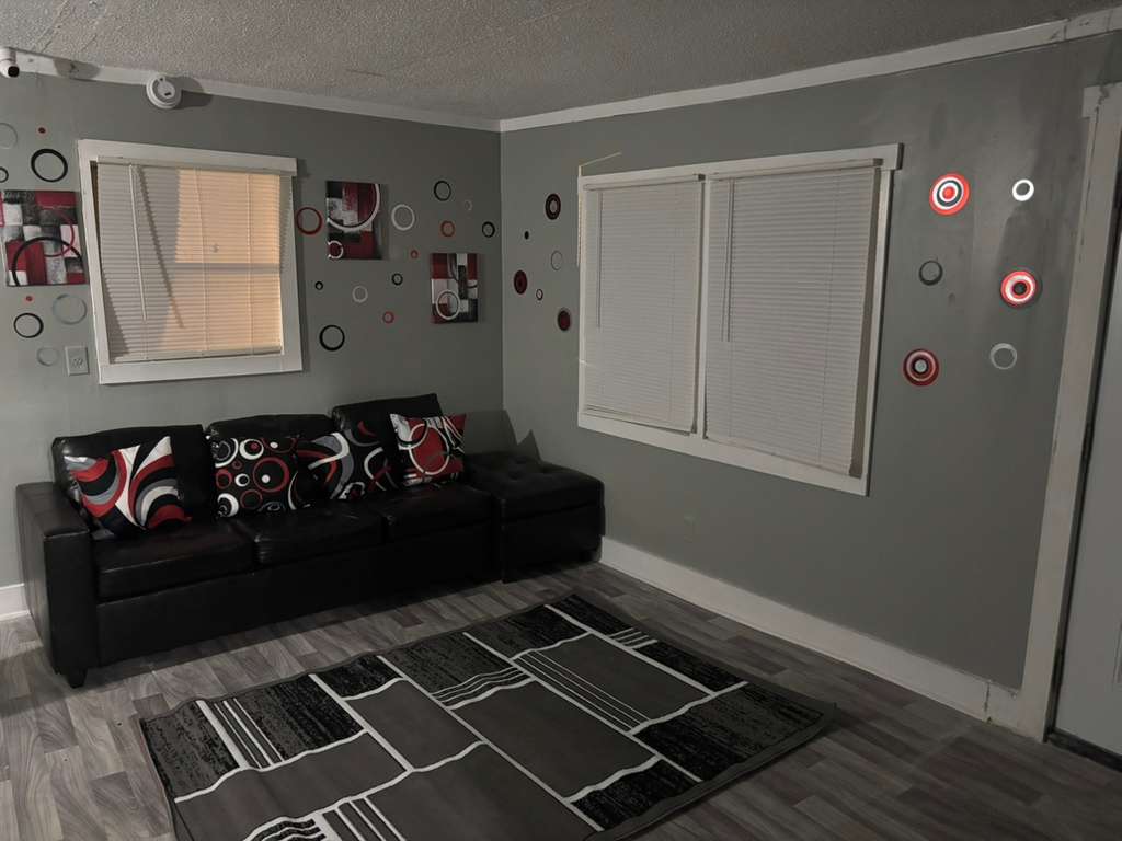 Grey living room featuring a black leather sofa, geometric rug, and circular wall art decorations.